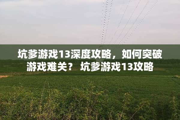坑爹游戏13深度攻略，如何突破游戏难关？ 坑爹游戏13攻略