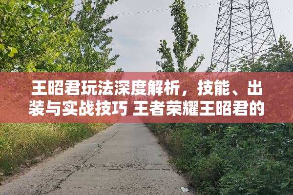 王昭君玩法深度解析，技能、出装与实战技巧 王者荣耀王昭君的玩法