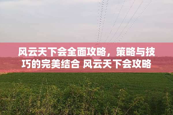 风云天下会全面攻略，策略与技巧的完美结合 风云天下会攻略