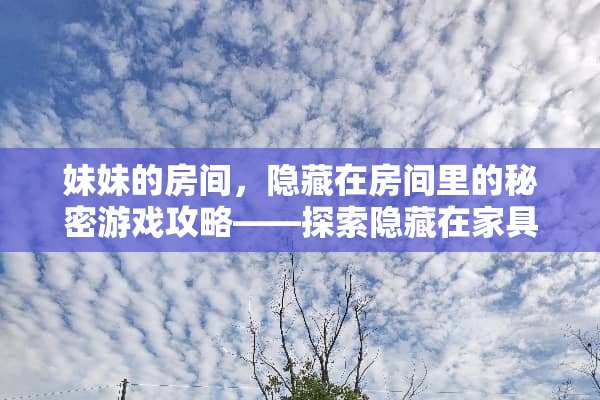妹妹的房间，隐藏在房间里的秘密游戏攻略——探索隐藏在家具后的谜题 妹妹的房间游戏攻略