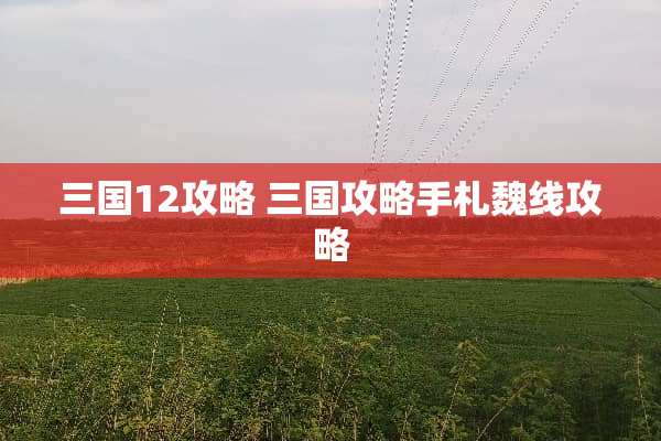 三国12攻略 三国攻略手札魏线攻略
