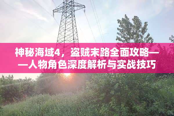 神秘海域4，盗贼末路全面攻略——人物角色深度解析与实战技巧 攻略人物游戏