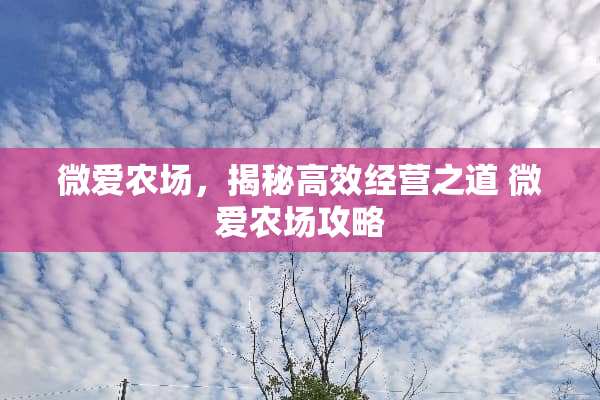 微爱农场，揭秘高效经营之道 微爱农场攻略