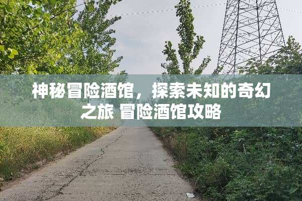 神秘冒险酒馆，探索未知的奇幻之旅 冒险酒馆攻略