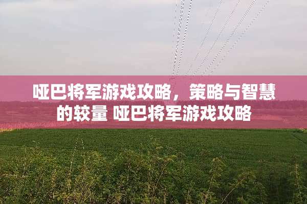 哑巴将军游戏攻略，策略与智慧的较量 哑巴将军游戏攻略