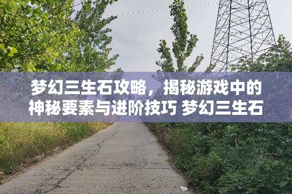 梦幻三生石攻略，揭秘游戏中的神秘要素与进阶技巧 梦幻三生石攻略