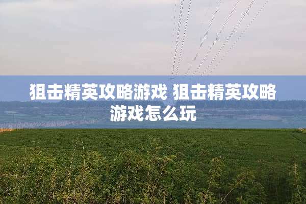 **精英攻略游戏 **精英攻略游戏怎么玩