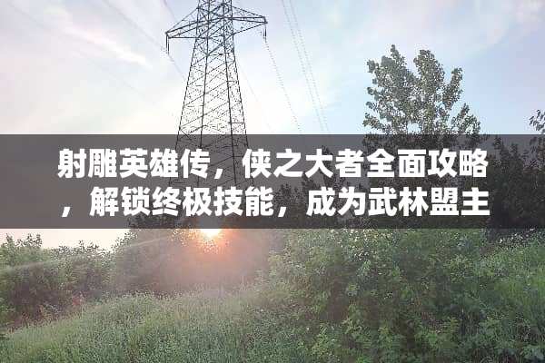 射雕英雄传，侠之大者全面攻略，解锁终极技能，成为武林盟主 迸发游戏攻略