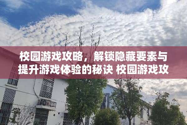 校园游戏攻略，解锁隐藏要素与提升游戏体验的秘诀 校园游戏攻略