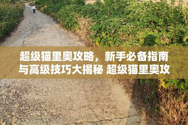 超级猫里奥攻略，新手必备指南与高级技巧大揭秘 超级猫里奥攻略