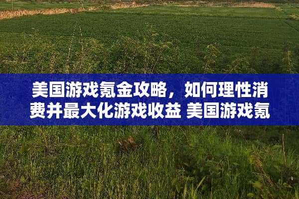 美国游戏氪金攻略，如何理性消费并最大化游戏收益 美国游戏氪金攻略