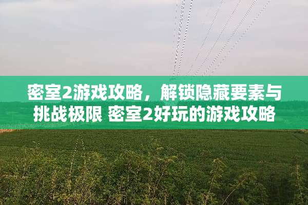 密室2游戏攻略，解锁隐藏要素与挑战极限 密室2好玩的游戏攻略
