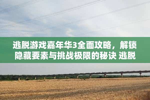逃脱游戏嘉年华3全面攻略，解锁隐藏要素与挑战极限的秘诀 逃脱游戏嘉年华3攻略