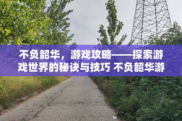不负韶华，游戏攻略——探索游戏世界的秘诀与技巧 不负韶华游戏攻略