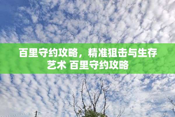 百里守约攻略，精准**与生存艺术 百里守约攻略
