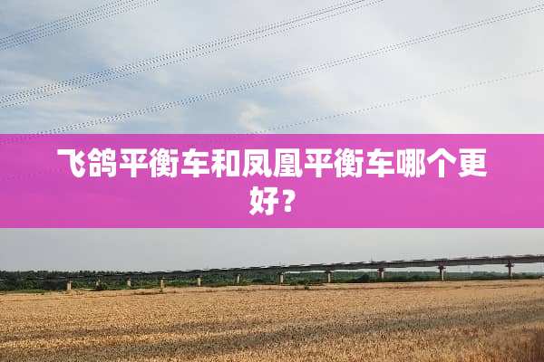 飞鸽平衡车和凤凰平衡车哪个更好？