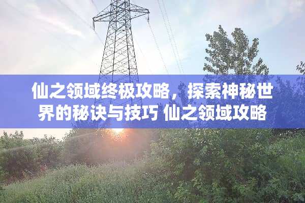 仙之领域终极攻略，探索神秘世界的秘诀与技巧 仙之领域攻略