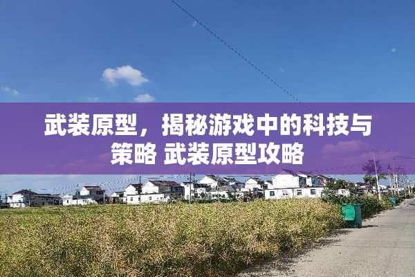 武装原型，揭秘游戏中的科技与策略 武装原型攻略