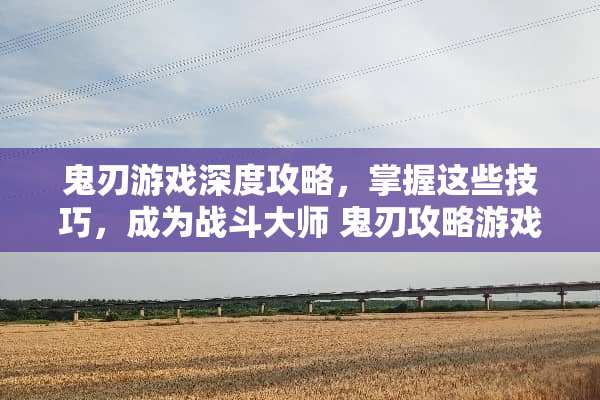 鬼刃游戏深度攻略，掌握这些技巧，成为战斗大师 鬼刃攻略游戏