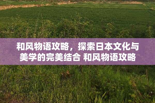和风物语攻略，探索日本文化与美学的完美结合 和风物语攻略