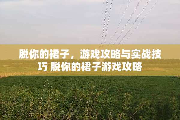 脱你的裙子，游戏攻略与实战技巧 脱你的裙子游戏攻略