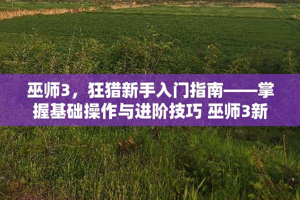 巫师3，狂猎新手入门指南——掌握基础操作与进阶技巧 巫师3新手攻略