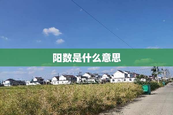 阳数是什么意思