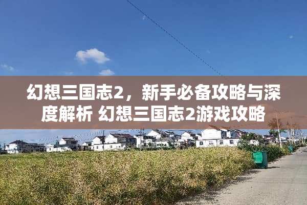 幻想三国志2，新手必备攻略与深度解析 幻想三国志2游戏攻略