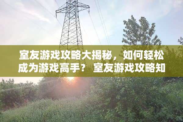 室友游戏攻略大揭秘，如何轻松成为游戏高手？ 室友游戏攻略知乎