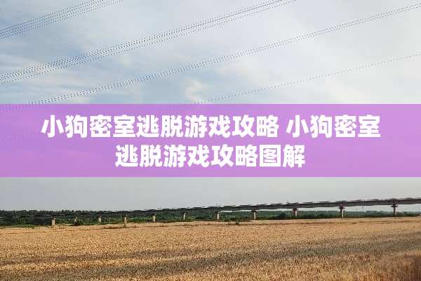 小狗密室逃脱游戏攻略 小狗密室逃脱游戏攻略图解