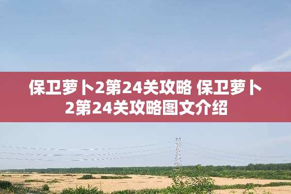 保卫萝卜2第24关攻略 保卫萝卜2第24关攻略图文介绍