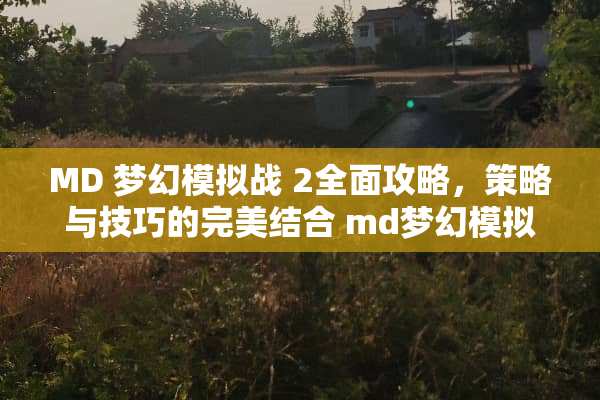 MD 梦幻模拟战 2全面攻略，策略与技巧的完美结合 md梦幻模拟战2攻略