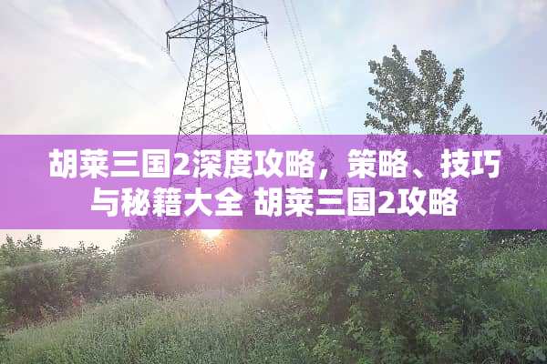 胡莱三国2深度攻略，策略、技巧与秘籍大全 胡莱三国2攻略