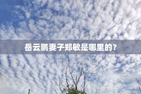 岳云鹏妻子郑敏是哪里的？