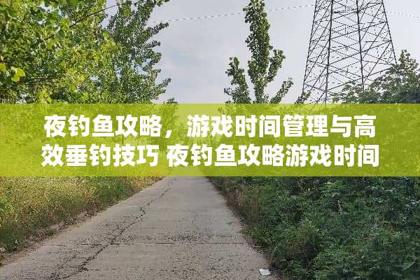 夜钓鱼攻略，游戏时间管理与高效垂钓技巧 夜钓鱼攻略游戏时间