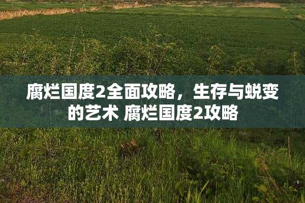 腐烂国度2全面攻略，生存与蜕变的艺术 腐烂国度2攻略