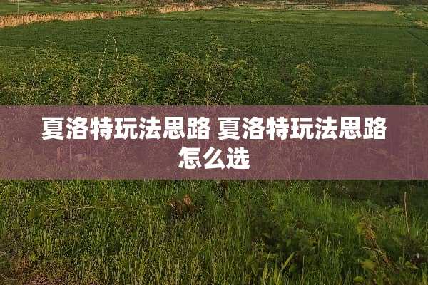 夏洛特玩法思路 夏洛特玩法思路怎么选