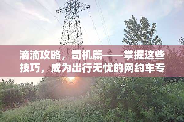 滴滴攻略，司机篇——掌握这些技巧，成为出行无忧的网约车专家 滴滴攻略司机
