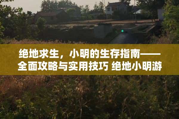 绝地求生，小明的生存指南——全面攻略与实用技巧 绝地小明游戏攻略