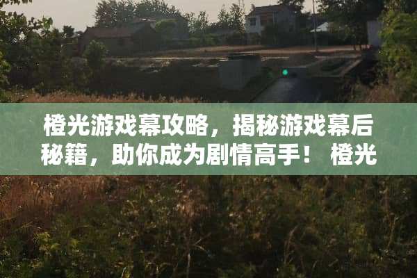 橙光游戏幕攻略，揭秘游戏幕后秘籍，助你成为剧情高手！ 橙光游戏幕攻略