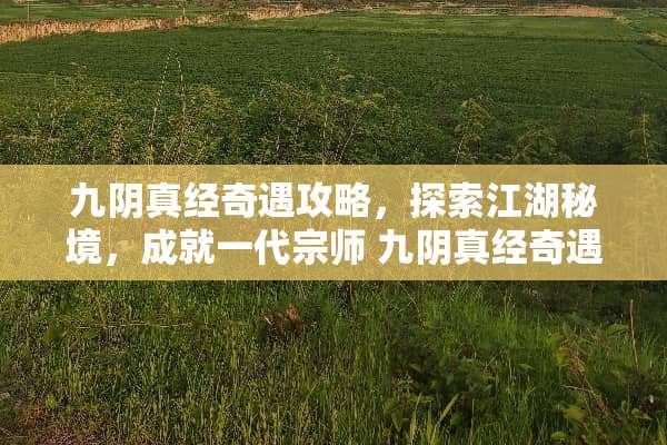 九*真经奇遇攻略，探索江湖秘境，成就一代宗师 九*真经奇遇攻略