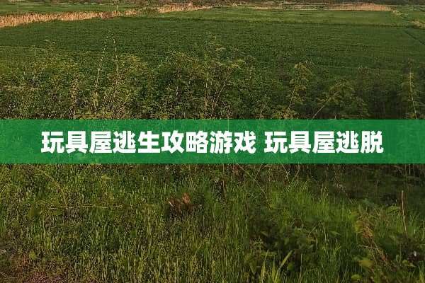 玩具屋逃生攻略游戏 玩具屋逃脱