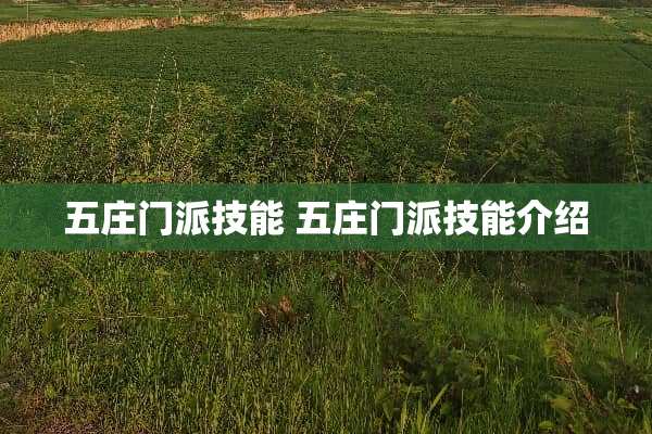 五庄门派技能 五庄门派技能介绍
