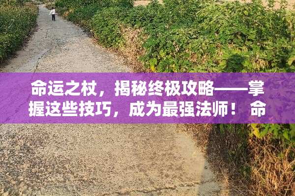 命运之杖，揭秘终极攻略——掌握这些技巧，成为最强法师！ 命运之杖1攻略