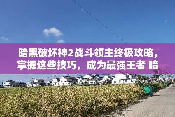 暗黑破坏神2战斗领主终极攻略，掌握这些技巧，成为最强王者 暗黑游戏战斗领主攻略