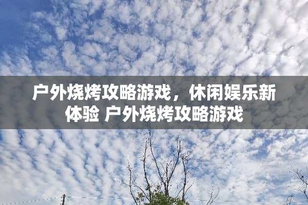户外烧烤攻略游戏，休闲娱乐新体验 户外烧烤攻略游戏