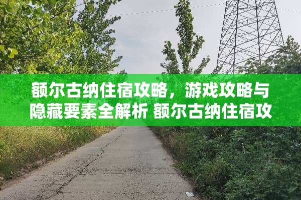 额尔古纳住宿攻略，游戏攻略与隐藏要素全解析 额尔古纳住宿攻略游戏