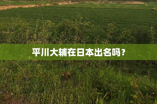 平川大辅在日本出名吗？