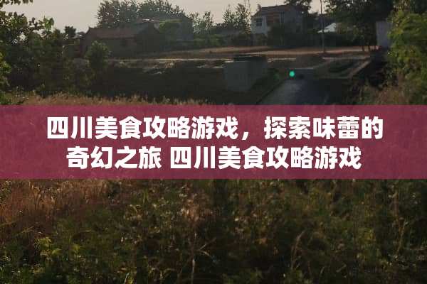 四川美食攻略游戏，探索味蕾的奇幻之旅 四川美食攻略游戏