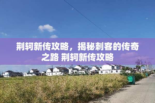 荆轲新传攻略，揭秘刺客的传奇之路 荆轲新传攻略